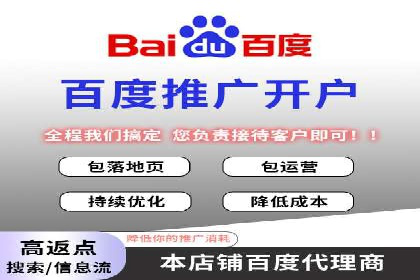 百度推广广告案例：快速抢占市场份额